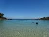 Click to view honeymoonbaydivers_t1.jpg