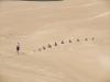 Click to view the-tank-traps1_t1.jpg