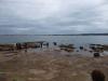 Click to view into-the-water-2_t1.jpg