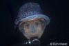 Click to view australia-day-diving_t1.jpg