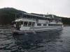Click to view mv-colona-six_t1.jpg