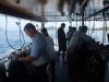 Click to view the-dive-deck_t1.jpg
