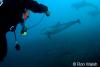 Click to view mark-and-dolphins_t1.jpg