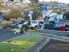 Click to view img_0057_t1.jpg