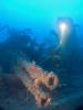 Click to view aaron-ward-sb-bofors_t1.jpg