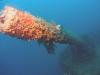 Click to view kanawha-stern-gun-new_t1.jpg