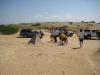 Click to view large-tank-trap_t1.jpg