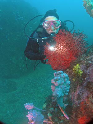 olgas-gorgonia.jpg
