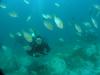 Click to view kiama-one-spot_t1.jpg
