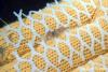 Click to view tiny-shrimp_t1.jpg