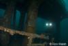 Click to view nicks-lights_t1.jpg