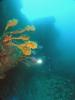 Click to view mk-reef-facebook_t1.jpg
