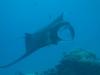 Click to view palau_4_20141029_t1.jpg