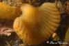 Click to view photo_330_t1.jpg