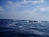 Click to view photo_511_t1.jpg