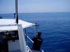 Click to view photo_608_t1.jpg