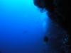 Click to view photo_620_t1.jpg