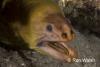 Click to view shiprockmoray_t1.jpg