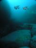 Click to view underwatergully_t1.jpg