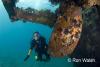 Click to view bill-at-k3-wreck-prop_t1.jpg