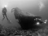 Click to view der-yang-bow-bw_t1.jpg
