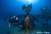 Click to view jason-and-deep-pete-wreck_t1.jpg