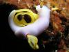 Open Album dick-nudi-2.jpg