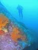 Open Album mk-reef-1-facebook.jpg